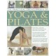 The Practical Encyclopedia of Yoga & Pilates: Yoga and Pilates to Safely Streamline, Tone and Strengthen Your Body, in 1800 Photographs (Paperback) by Francoise Barbira Freedman, Bel Gibbs, Doriel Hall